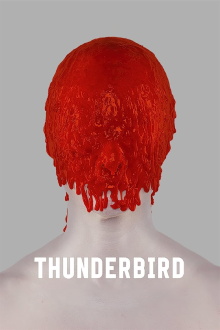 Thunderbird Trailer