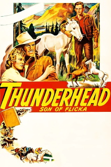 Thunderhead: Son of Flicka Trailer