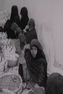 Thursday-bazaar of Minaab Trailer