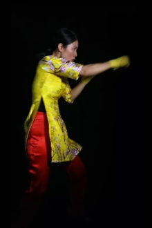 Thuy & T. Trailer