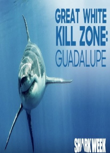 Tiburones Blancos de Guadalupe Trailer
