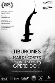 Tiburones Del Mar De Cortés: ¿Un Tesoro Perdido? Trailer
