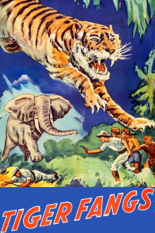 Tiger Fangs Trailer