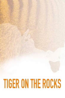 Tiger on the Rocks Trailer