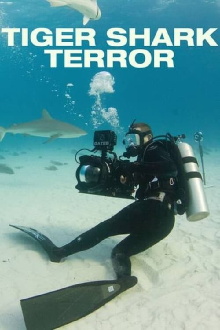 Tiger Shark Terror Trailer