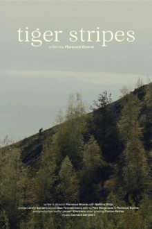 Tiger Stripes Trailer