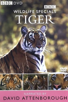 Tiger: The Elusive Princess Trailer