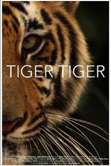 Tiger Tiger Trailer