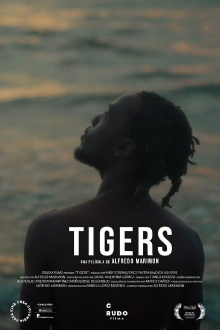 Tigers Trailer