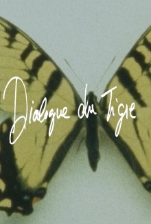 Tiger's Dialogue Trailer