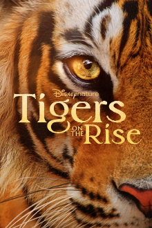 Tigers on the Rise Trailer