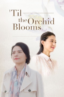 Til the Orchid Blooms Trailer