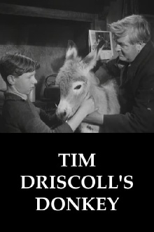 Tim Driscoll's Donkey Trailer