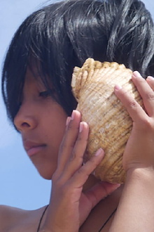 Time and the Seashell Trailer