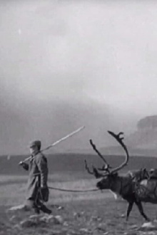 Time for Common Rudd Trailer