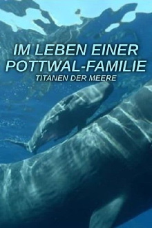 Titans of the Sea: A Family Affair‎ Trailer