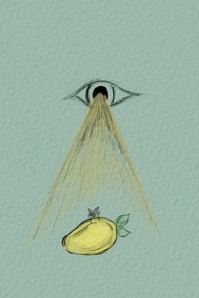 To Be A Fly On Your Mango Trailer