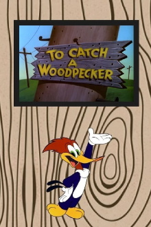 To Catch a Woodpecker Trailer
