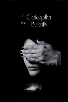 To Caterpillar, From Butterfly Trailer
