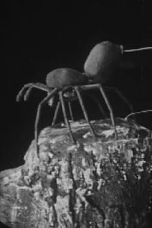 To Demonstrate How Spiders Fly Trailer