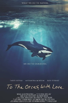 To the Orcas with Love Trailer