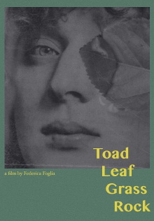 Toad, Leaf, Grass, Rock Trailer