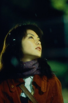 Tokyo Marigold Trailer