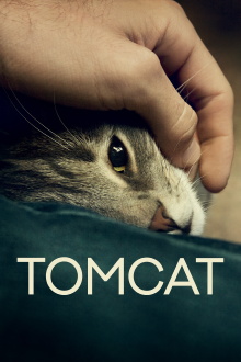 Tomcat Trailer