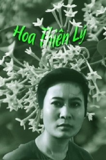 Tonkin Jasmine Flower Trailer