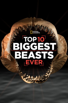 Top 10 Biggest Beasts Ever Trailer