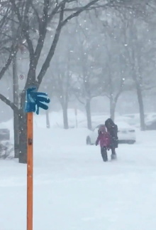 Tormenta de nieve Trailer