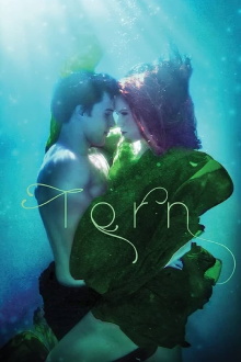 Torn Trailer