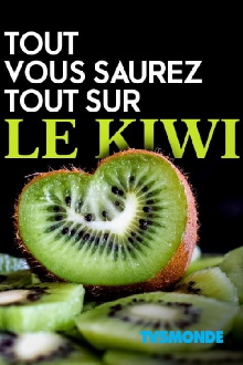 Tout, vous saurez tout sur le kiwi Trailer