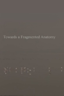 Towards a Fragmented Anatomy Trailer