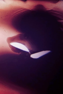 Towards the Death of Cinema Trailer