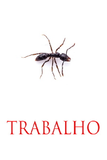 TRABALHO Trailer