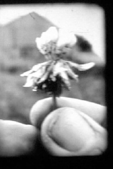 Traces Trailer