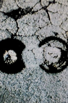 Traces Trailer