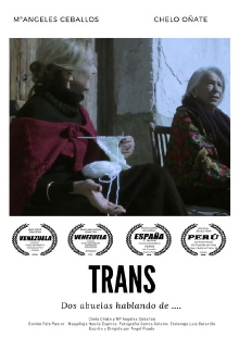 Trans Trailer
