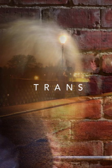 Trans Trailer