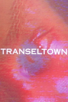 Transeltown Trailer