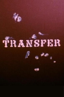 Transfer Trailer