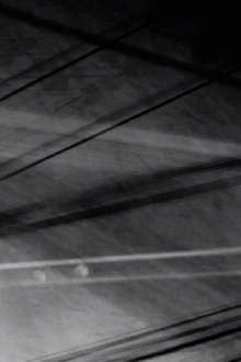 Transito II Trailer