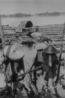 Transport des bois par radeaux Trailer
