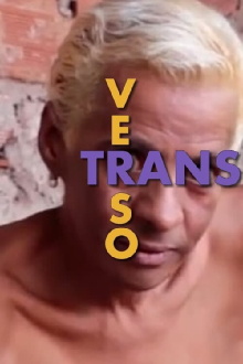 TransVerso Trailer