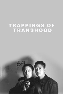 Trappings of Transhood Trailer