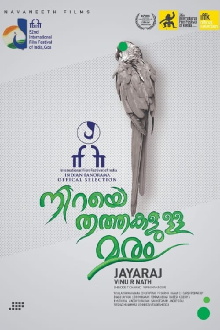 Tree Full of Parrots Trailer