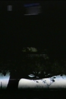 Tree-Line Trailer