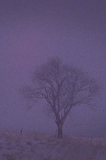 Tree Over the Valley, Eaton Trailer