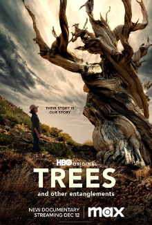 Trees and Other Entanglements Trailer